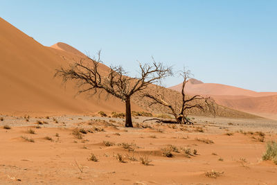 Scenic view of desert against clear sky