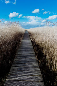 View of footpath amidst field against sky