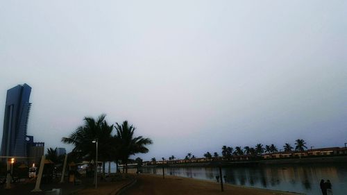 Palm trees against clear sky