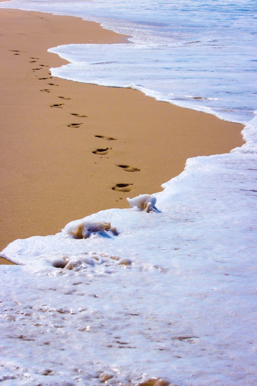 SCENIC VIEW OF SEA SHORE