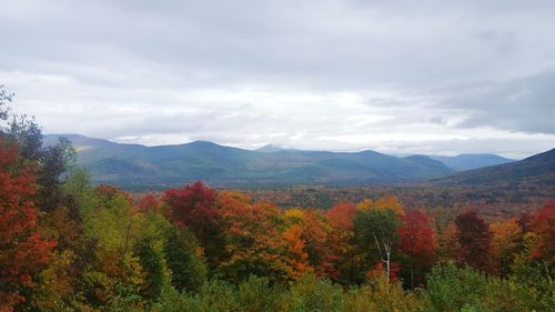 Scenic view of trees and mountains against sky