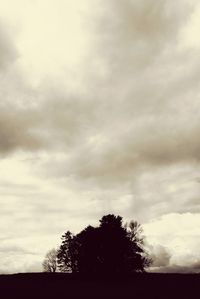 Low angle view of silhouette trees against sky