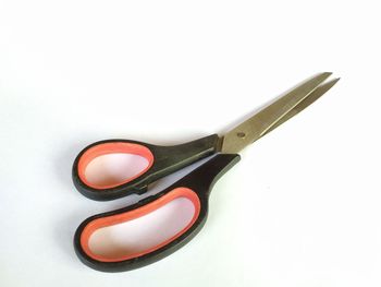 High angle view of paintbrushes against white background