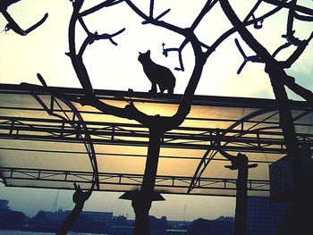 Low angle view of bare tree against sky