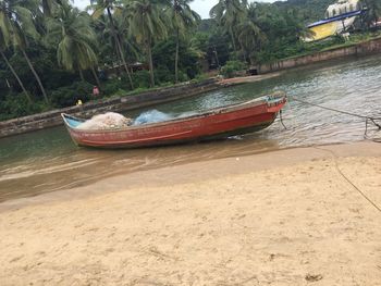 Boat moored on beach by trees