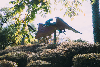 Bird perching on a tree