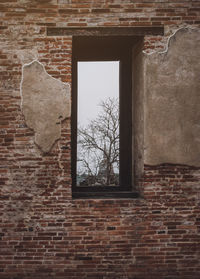 Window on wall of building