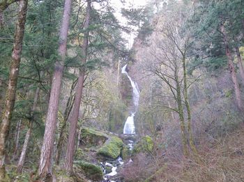 River flowing through rocks