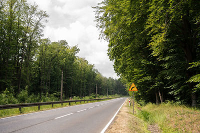 Road amidst trees against sky