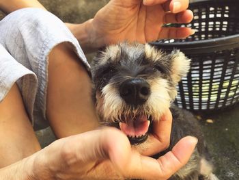 Midsection of man holding dog