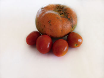 High angle view of tomatoes against white background