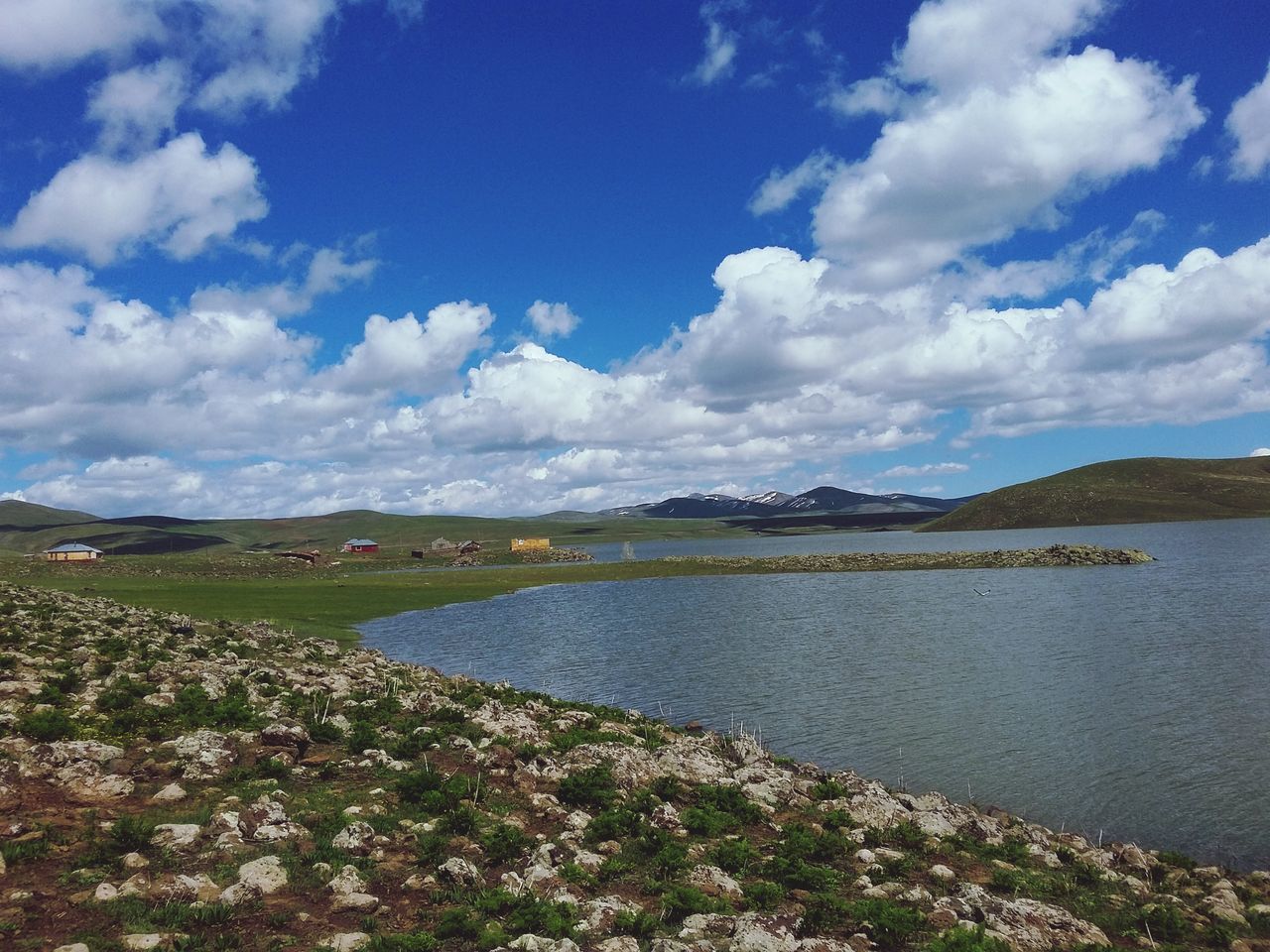 nature, reflection, agriculture, sky, flower, water, landscape, beauty in nature, cloud - sky, growth, scenics, travel destinations, lake, rural scene, outdoors, no people, day, freshness