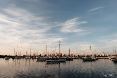 Sailboats moored in harbor against sky