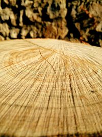 Close-up of wooden plank