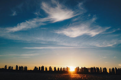 Silhouette of buildings during sunset