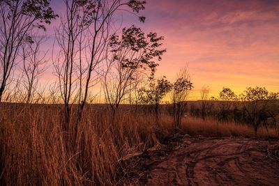 Scenic view of field against sky during sunset