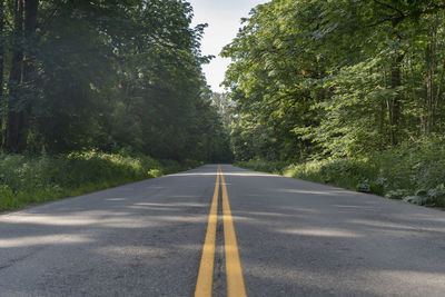 Empty road along trees