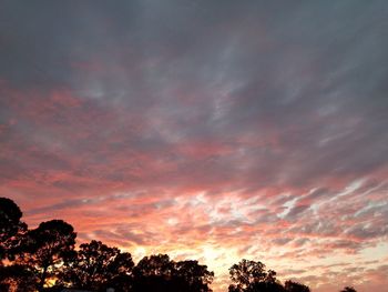 Low angle view of silhouette trees against dramatic sky