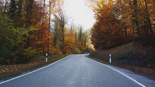Road amidst trees during autumn