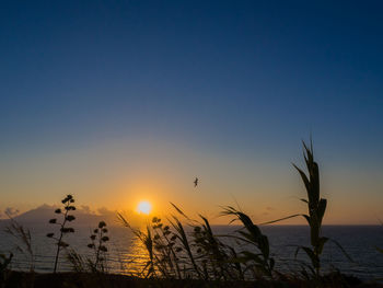 Scenic view of sunset over sea