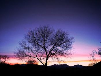 Silhouette of bare tree against clear sky at sunset