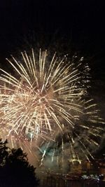 Low angle view of firework display