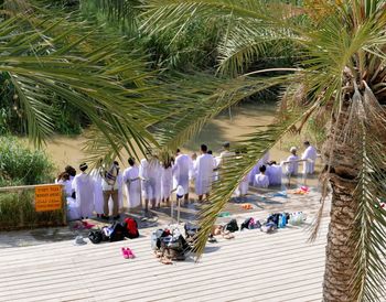 High angle view of people walking by palm trees