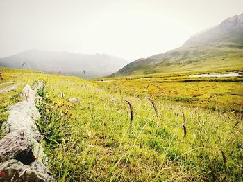 Scenic view of landscape against sky