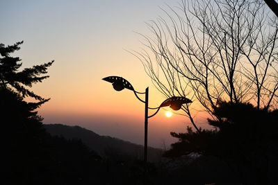 Low angle view of silhouette trees against sky during sunset