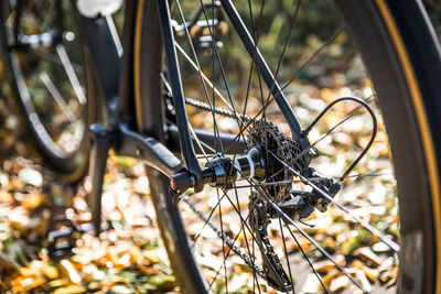 Close-up of caterpillar on bicycle