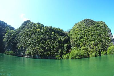 Scenic view of trees against clear blue sky