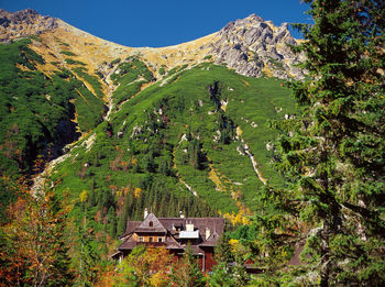 Scenic view of tree mountains against sky