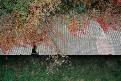 Graffiti on wall of old building