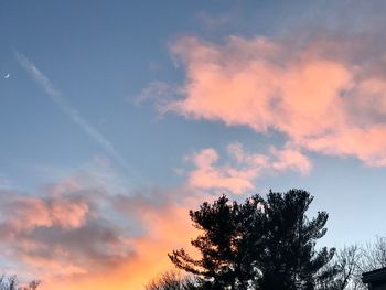 Low angle view of tree against sky during sunset