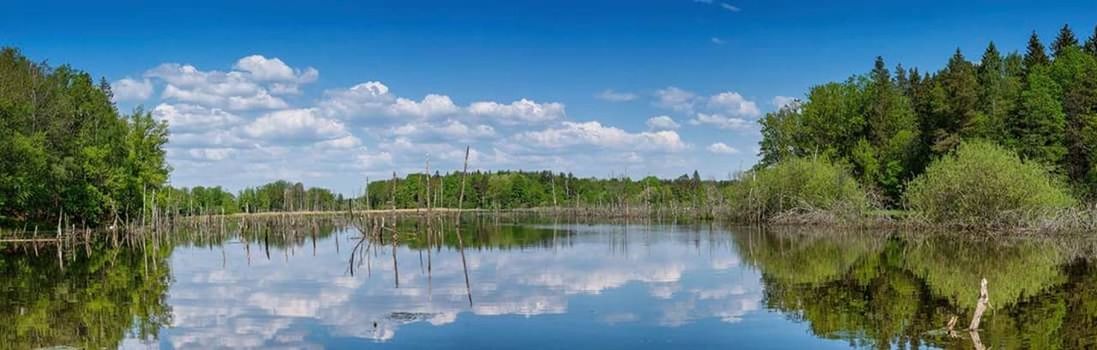 reflection, tree, lake, sky, cloud - sky, water, plant, scenics - nature, tranquility, nature, tranquil scene, day, no people, travel destinations, landscape, beauty in nature, environment, outdoors, travel