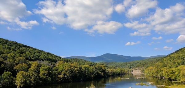 Scenic view of lake by trees against sky