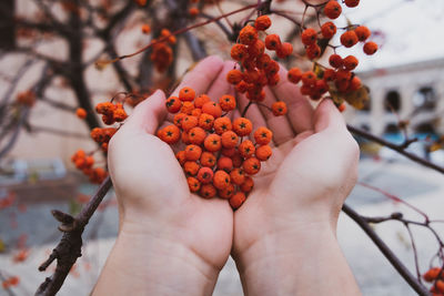 Close-up of hand touching fruit