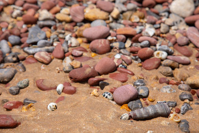 Selective focus and blurred background shot of seashell, colorful rocks and sands on beach 