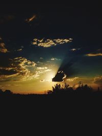 Silhouette of trees at sunset