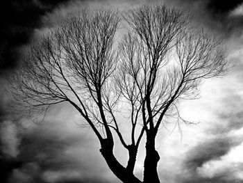Low angle view of bare tree against sky