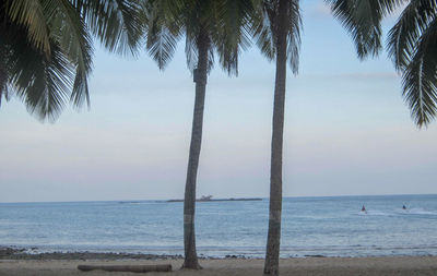 Palm trees by sea against sky
