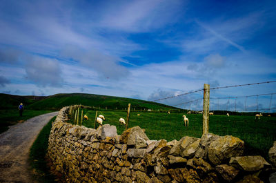 People on grassy field against cloudy sky