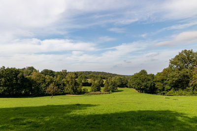 Trees on field against sky