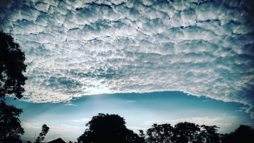 Low angle view of silhouette trees against sky