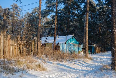 Snow covered field by trees in forest