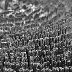 Rocks in sea