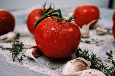 Close-up of tomatoes on table