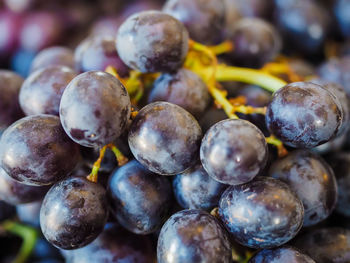 Close-up of grapes