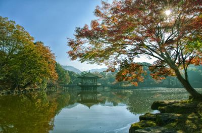 Trees by lake against sky during autumn, in japan