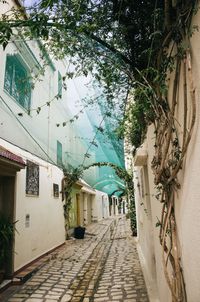 Empty alley amidst houses and trees in city